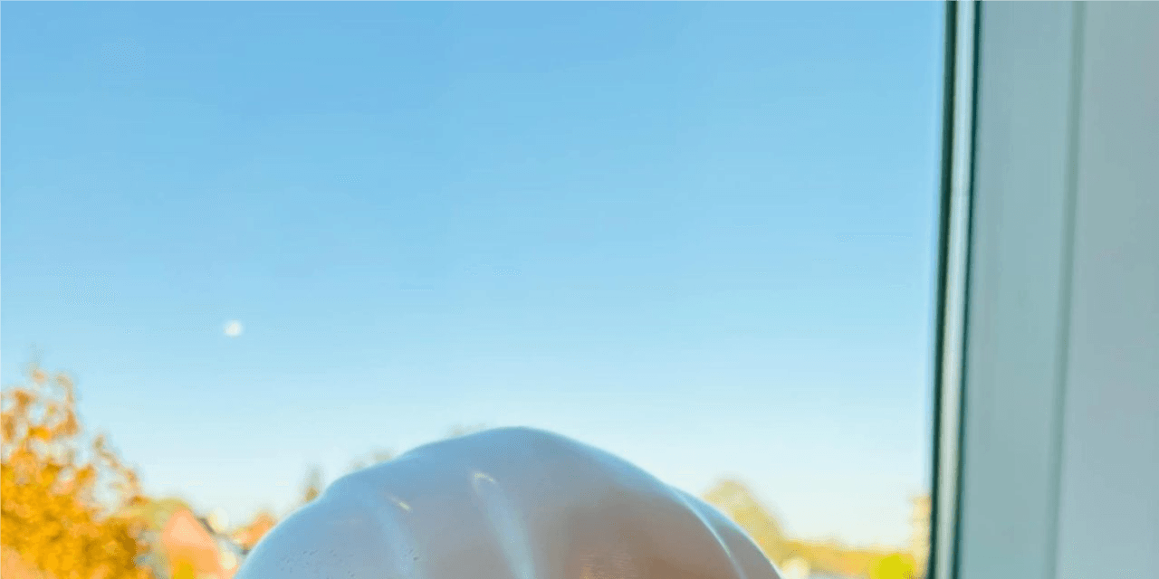 Project Manager Électricité