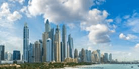 Data Management & Analytics Lead